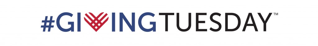 GT1.1